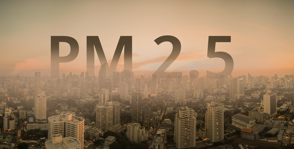 PM 2.5 สถานการณ์ของฝุ่น