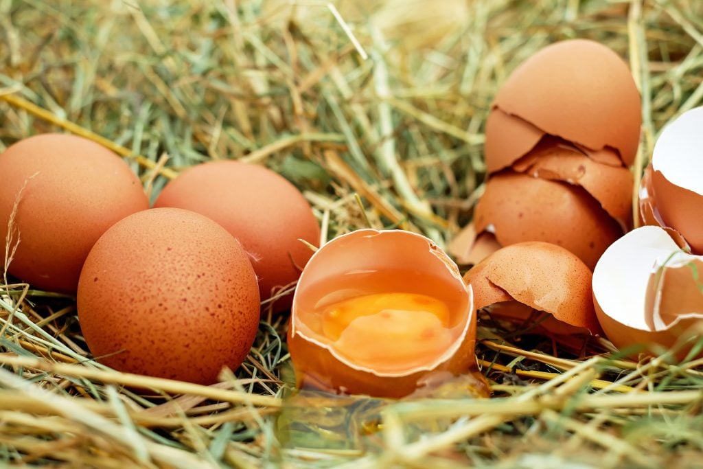 เรื่องน่ารู้ของไข่ ที่มีโปรตีนมากมาย